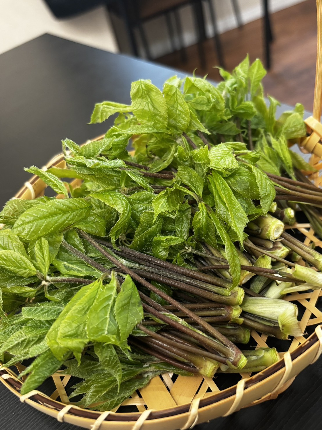 採れたての山菜